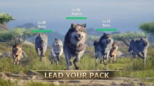 Scopri di più sull'articolo Trucchi per Gioco del Lupo